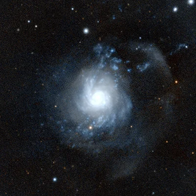 Arp 217
