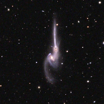 Mäusegalaxien, Arp 242