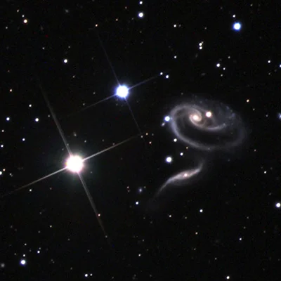 Rosengalaxie, Arp 273