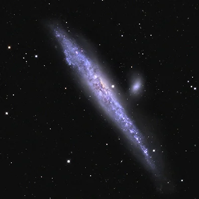 Arp 281