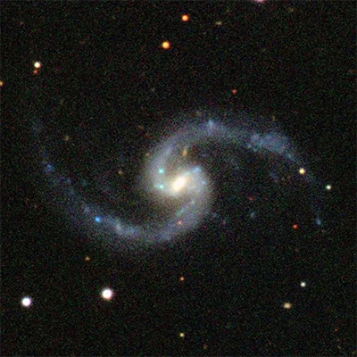 Arp 31