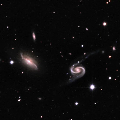 Arp 65