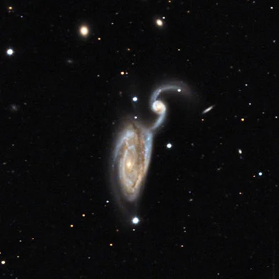 Graureiher-Galaxie, Arp 84