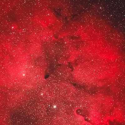 Barnard 161