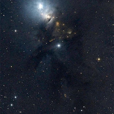 Barnard 205