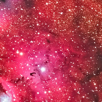 Barnard 302