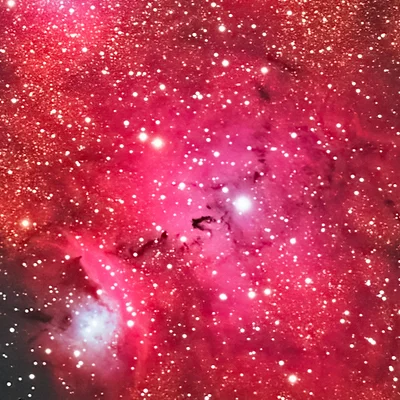 Barnard 303