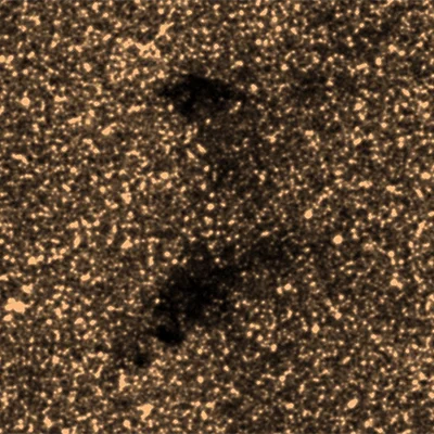 Barnard 82