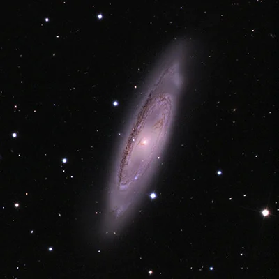 Leo Triplet, Messier 65