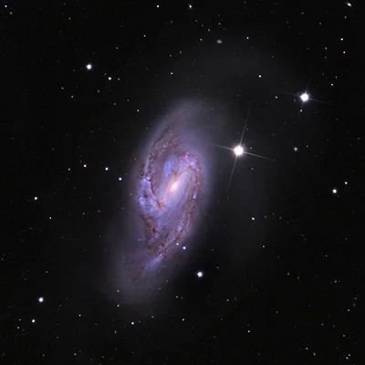 Leo Triplet, Messier 66