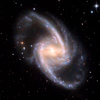 NGC 1365