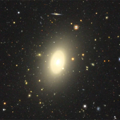 NGC 1393