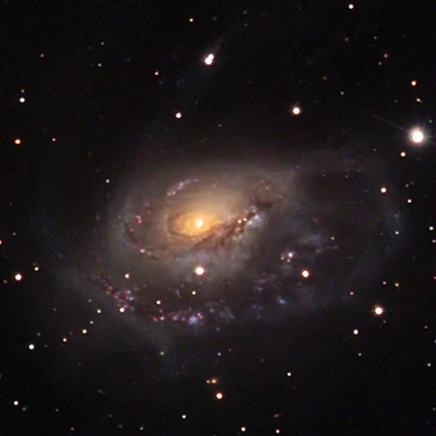 NGC 1961
