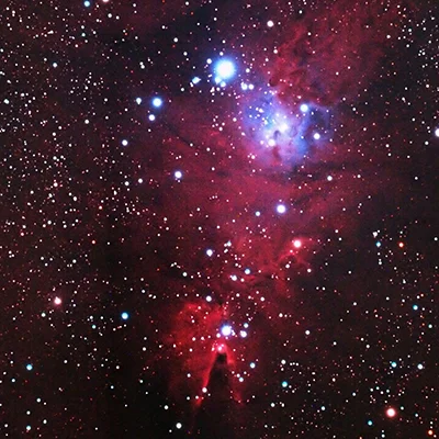 Christmas Tree Cluster, NGC 2264