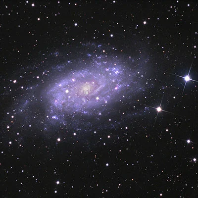 NGC 2403
