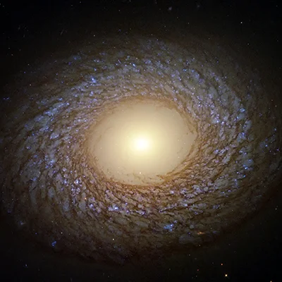 NGC 2775