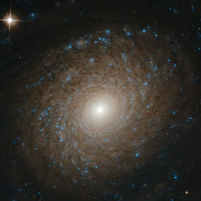 NGC 2985