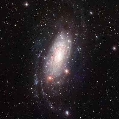 NGC 3621