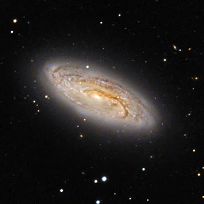 NGC 5005