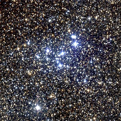 NGC 6231