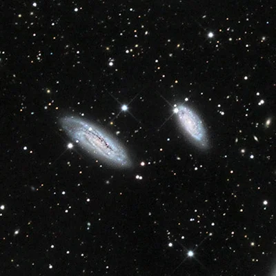 Grus Quartet, NGC 7599