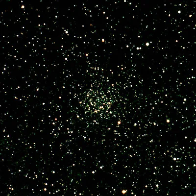 Carolines Rose, NGC 7789