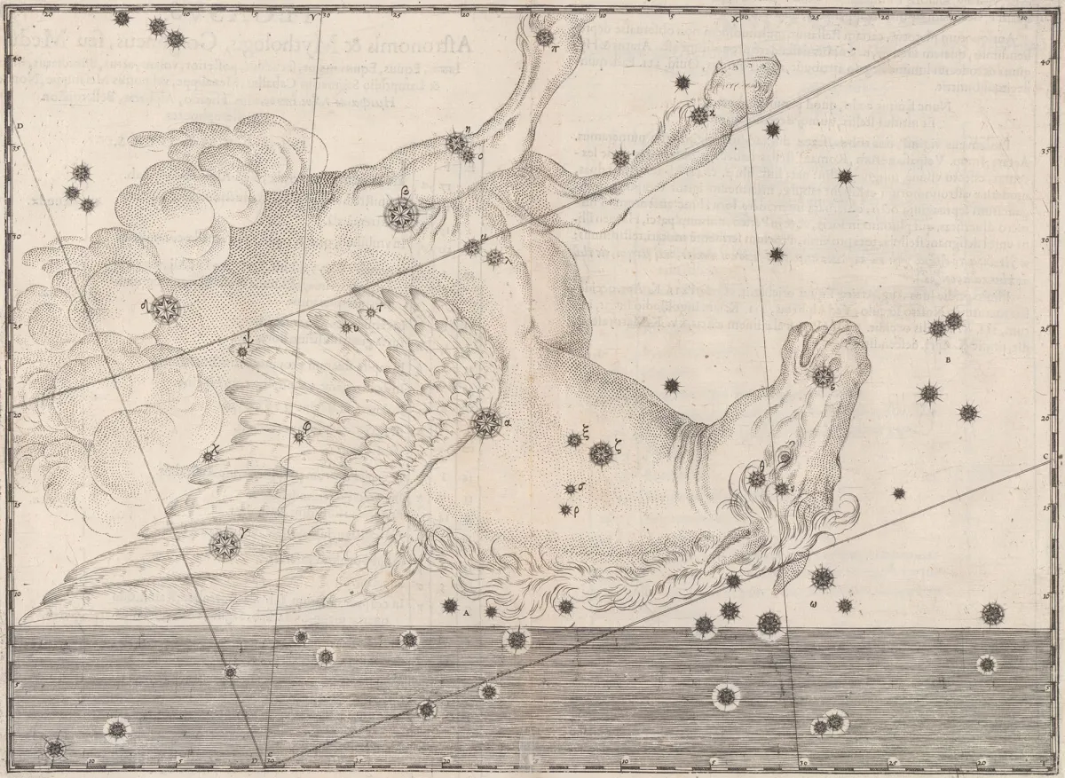 Constellation Pegasus