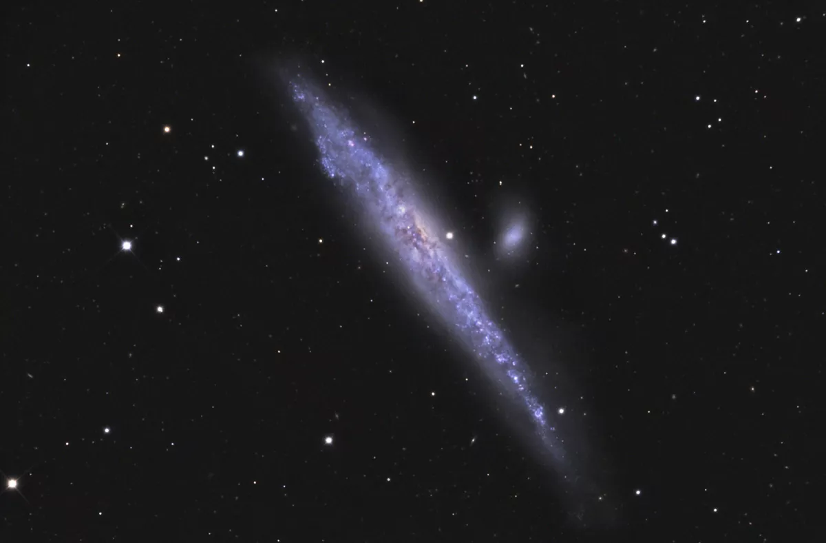 NGC 4631 + NGC 4627