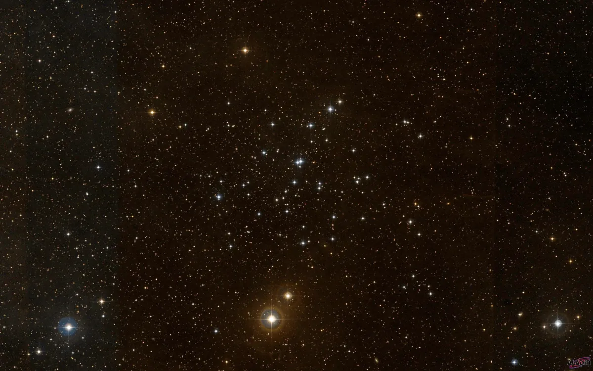 NGC 1647