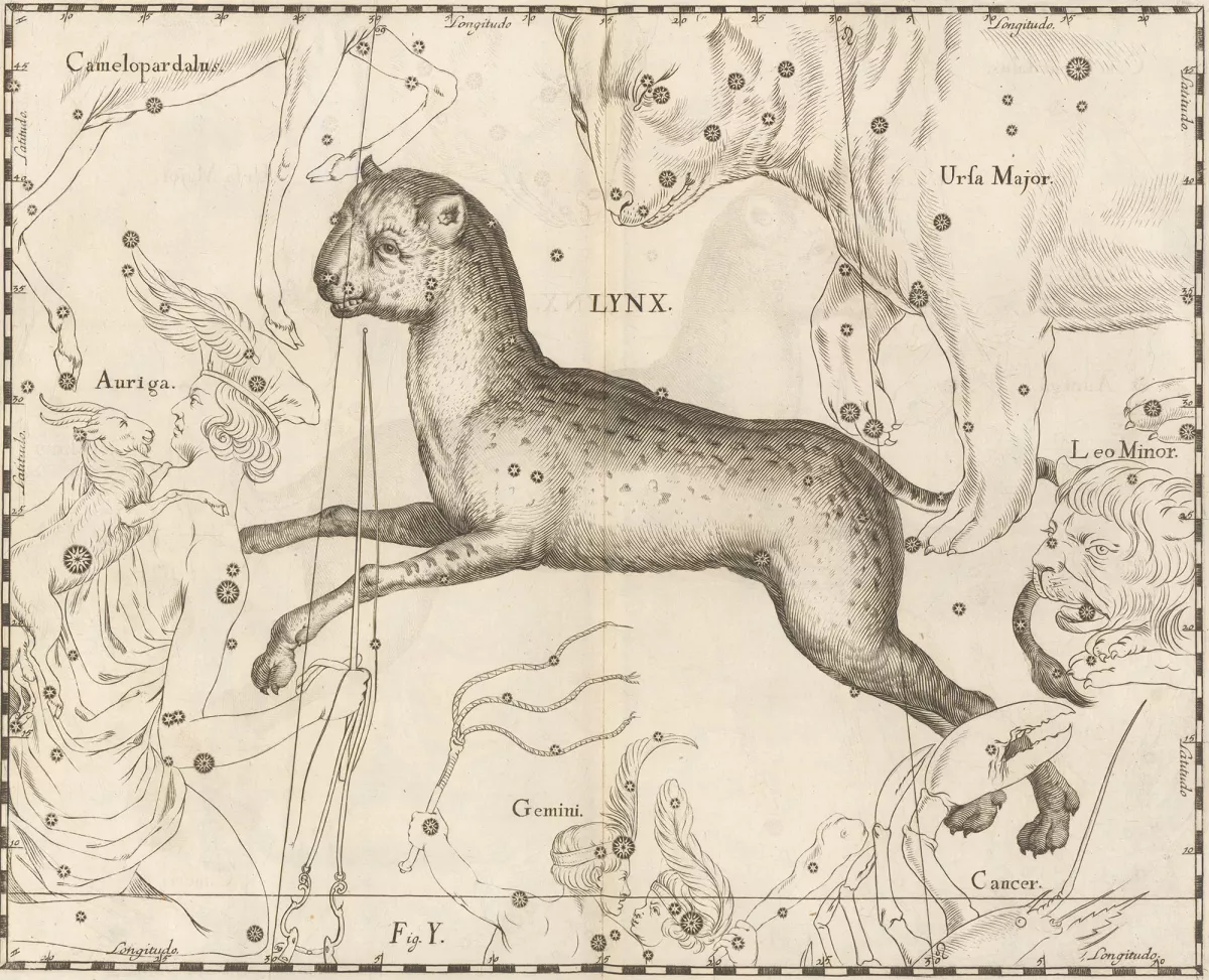 Constellation Lynx
