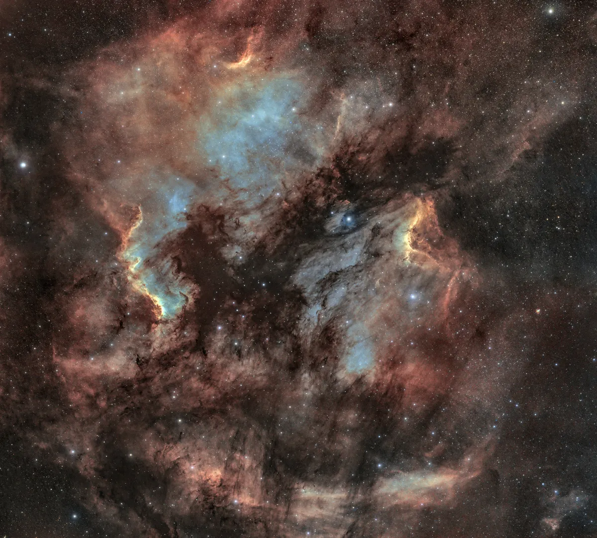 NGC 7000 & IC 5070