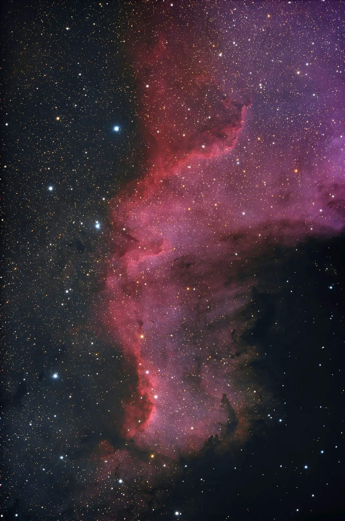 NGC 7000