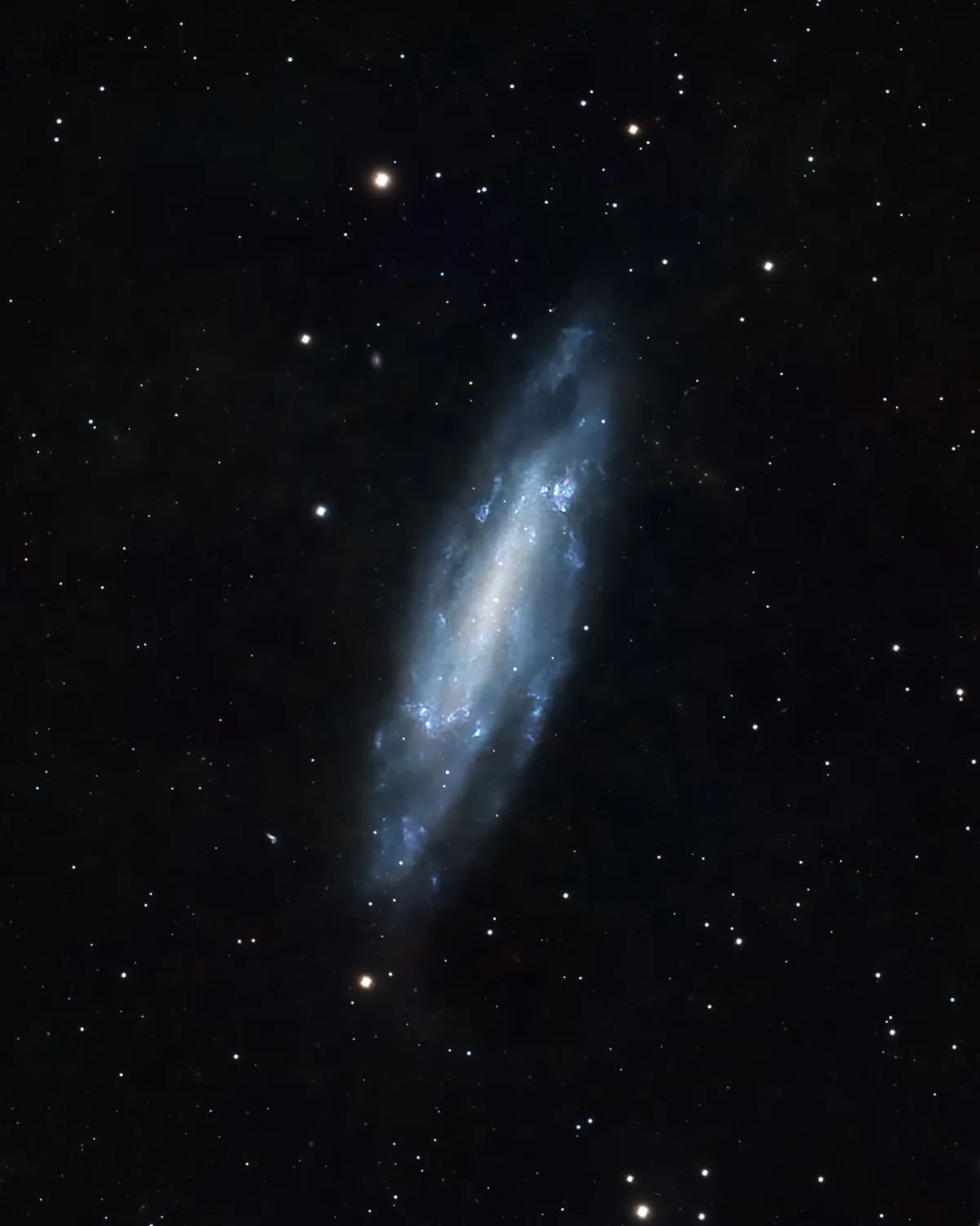 NGC 4236