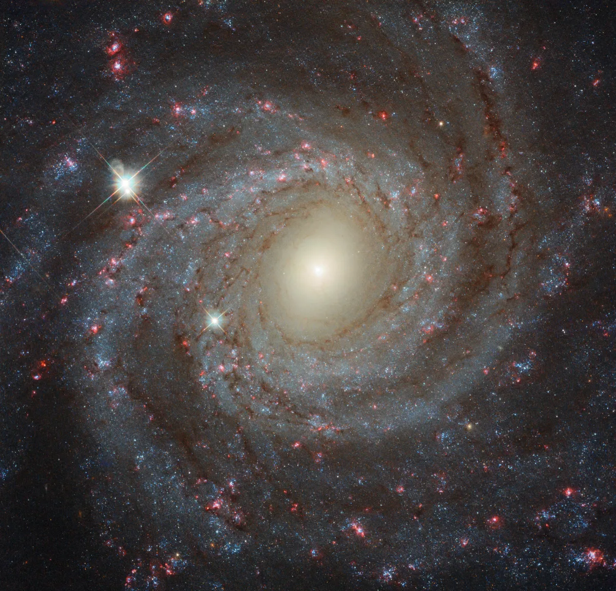 NGC 3344