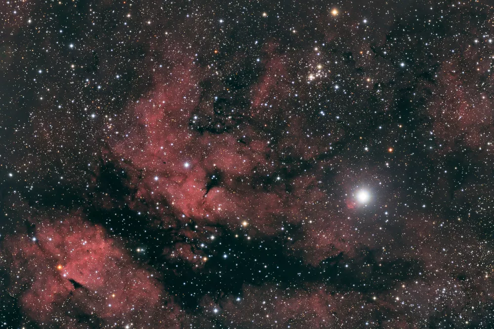 NGC 6910 + IC 1318