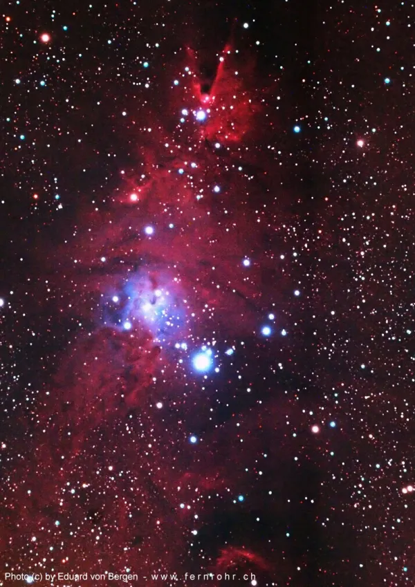 NGC 2264