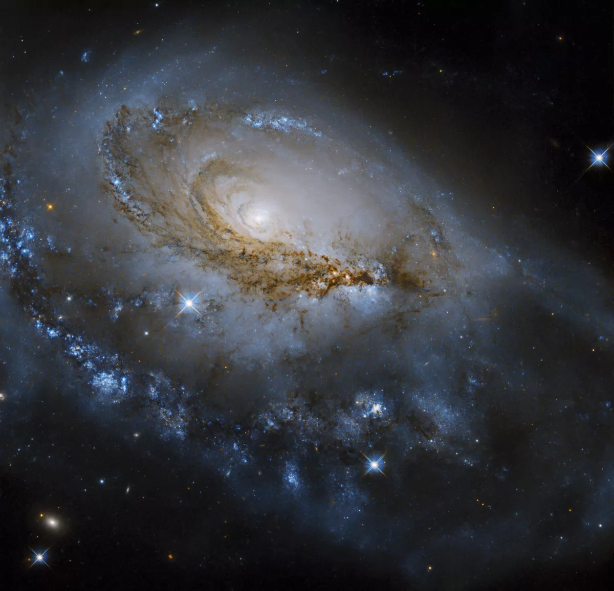 NGC 1961