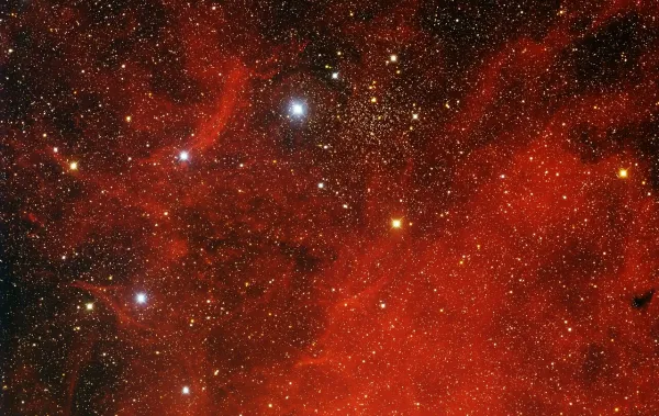 IC 1311