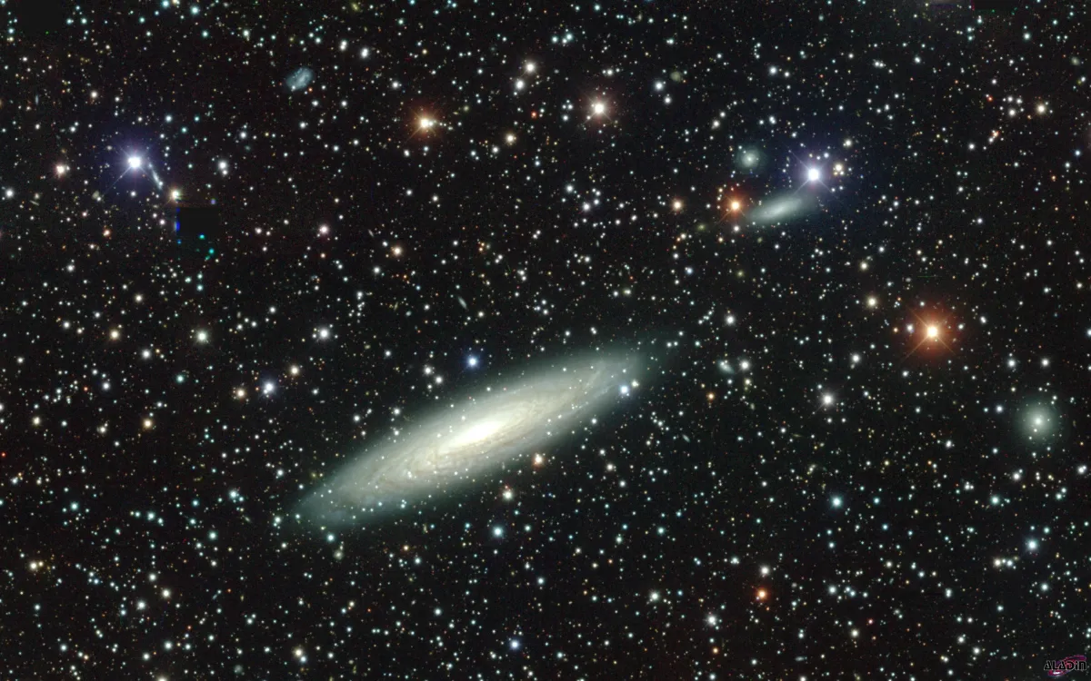 NGC 2613