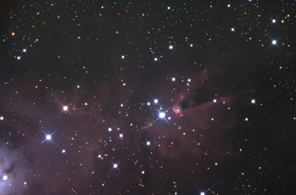 NGC 2264