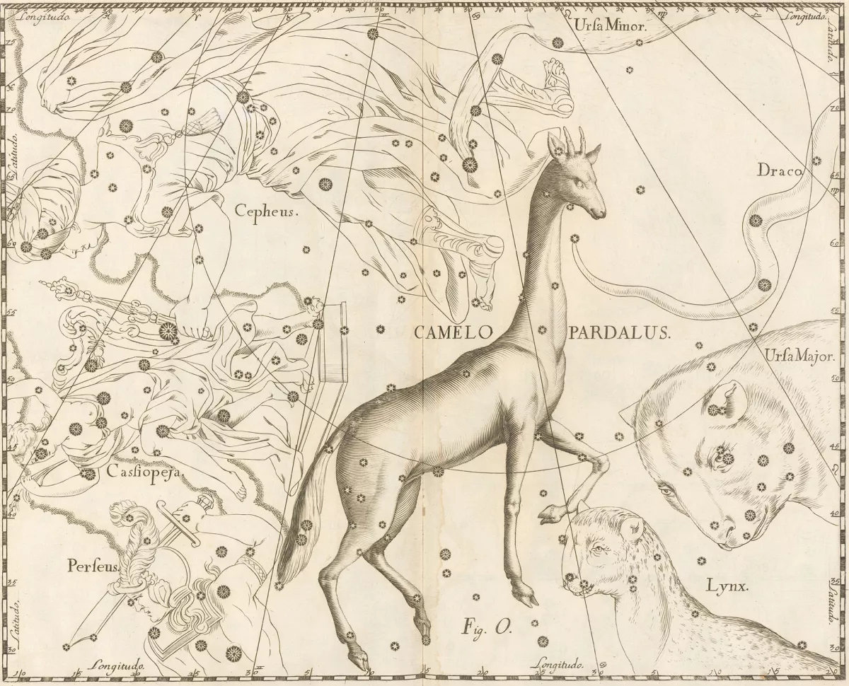 Constellation Camelopardalus
