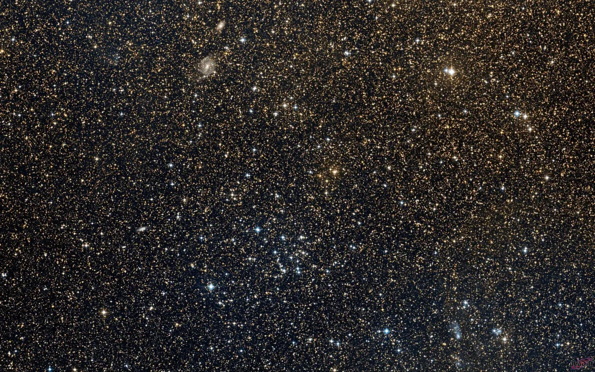 NGC 2527