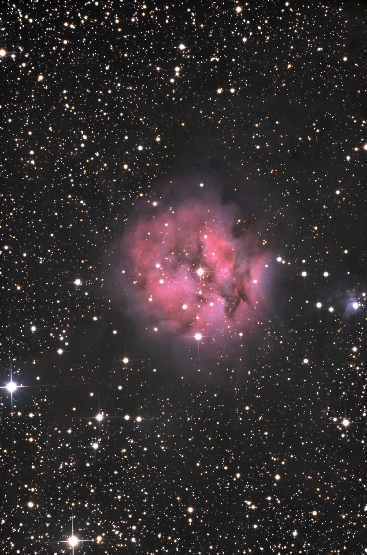 IC 5146