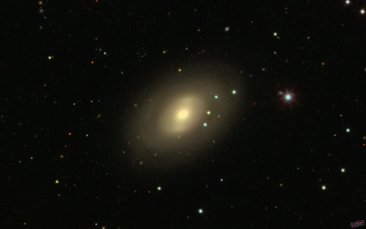NGC 2950
