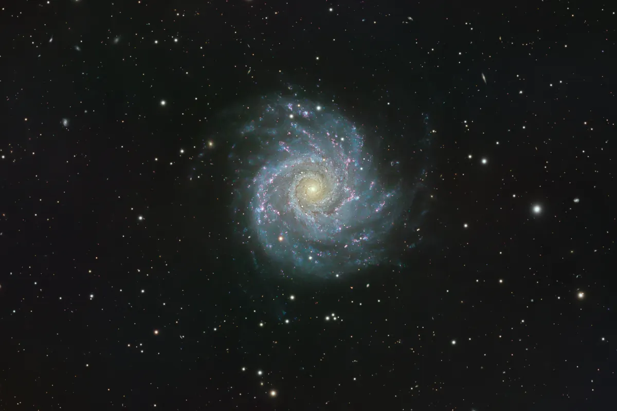 M 74