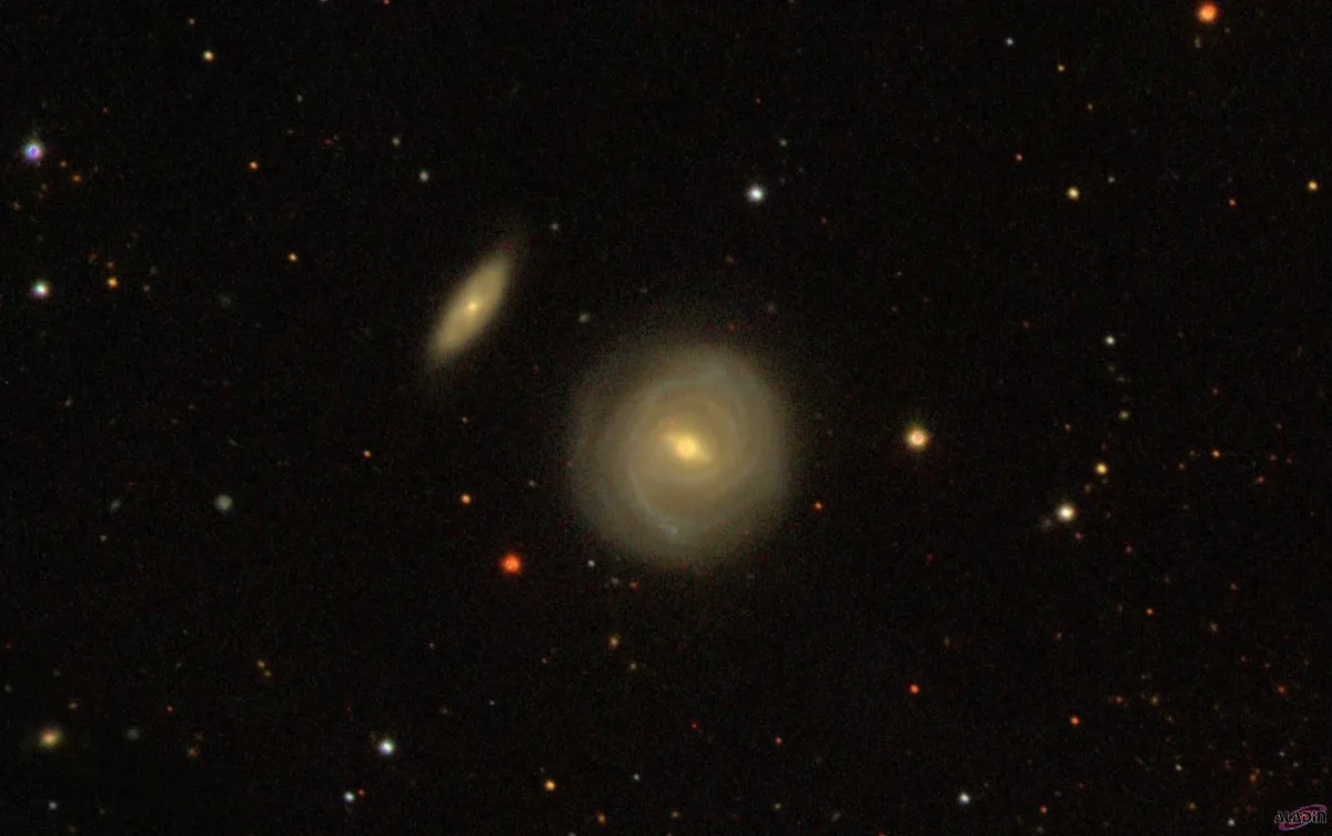 NGC 2959, NGC 2961