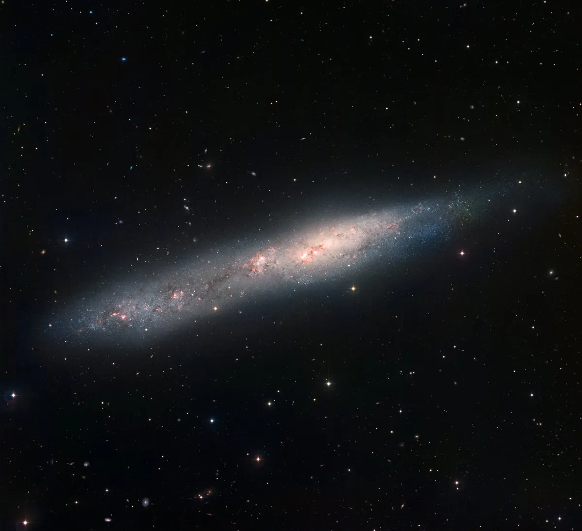 NGC 55