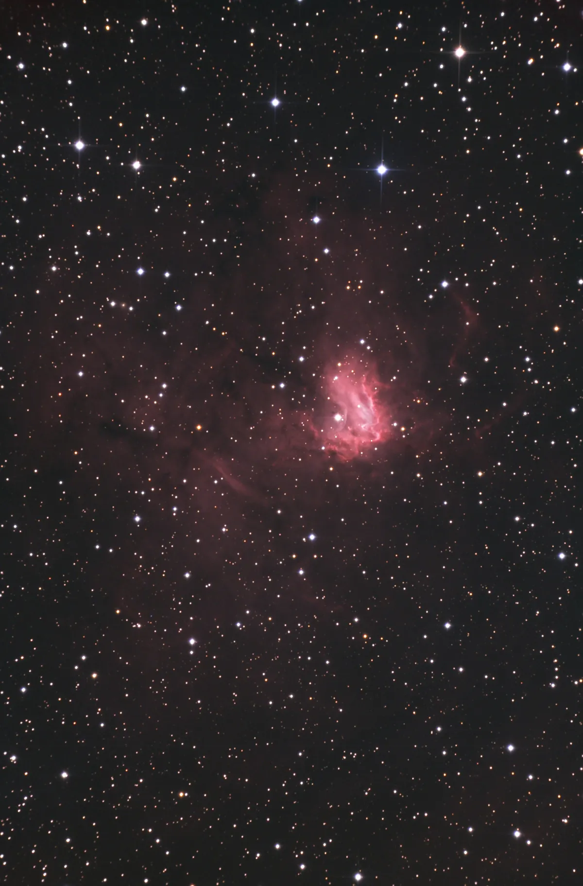 NGC 1491