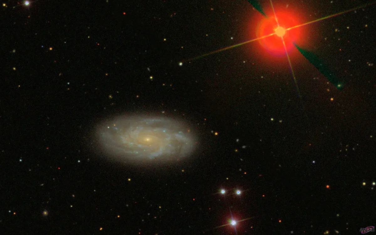 NGC 2742