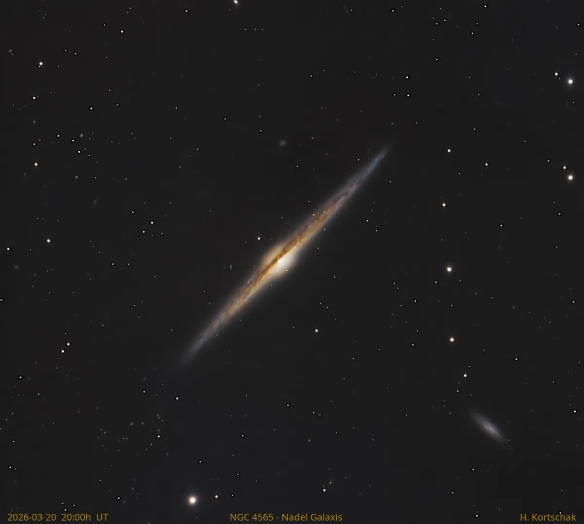 NGC 4565